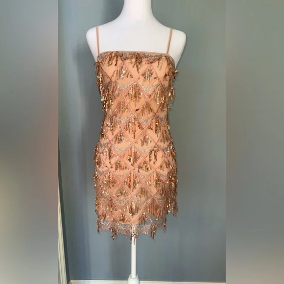 sachin and babi light blue dress Lulu's Get in the Groove Fringe Tassel Champagne Mini Dress with Sequi –  The Thrifty Hippy